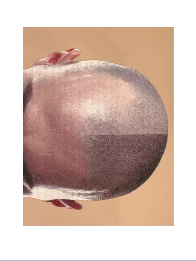 Peau d'entrainement - Tricopigmentation