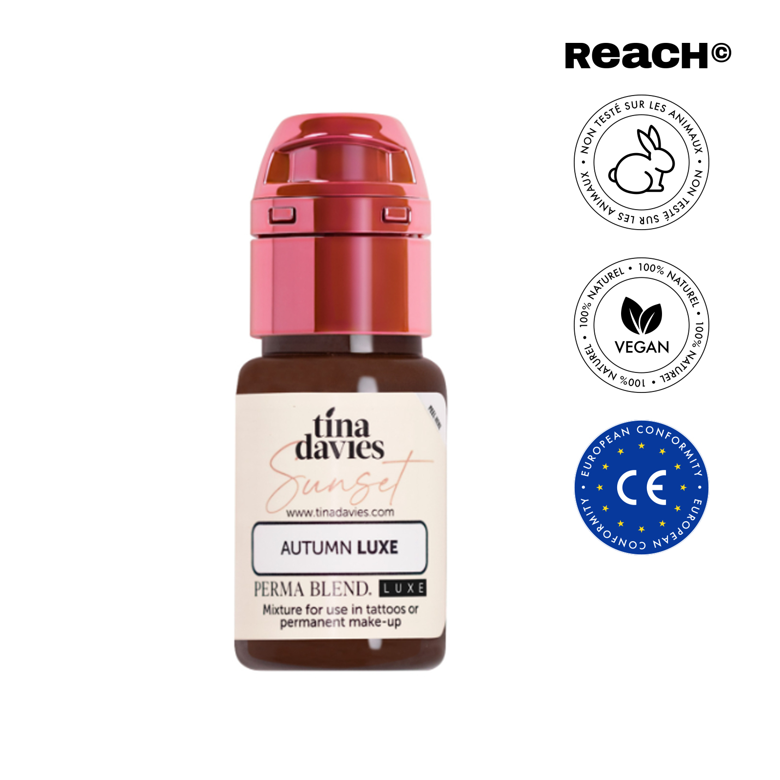 Pigment Perma Blend - Autumn by Tina Davies